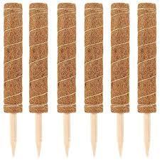 Varillas de Fibra de Coco Natural Ecológicas de 50 cm para Jardinería y Agricultura, Venta al Por Mayor - Product Image 6