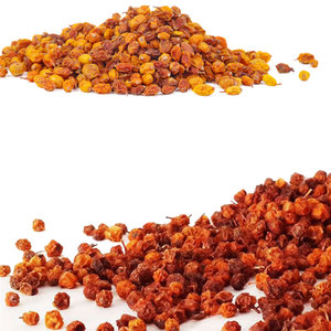 Baies d'argousier séchées | Fruit sauvage pur pour la médecine naturelle - Product Image 5