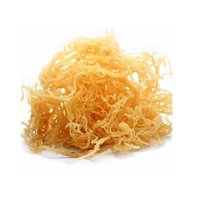 Seamoss seca natural rica en nutrientes para uso alimentario y cosmético mejor precio en Vietnam - Product Image 3
