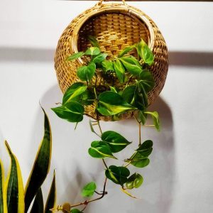 Handmade planters customized design & size decorative planters Rattan cane weaved wall hanging planters wicker flower pots - Product Image 3