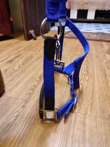 Bandeau nasal réglable en nylon Design intelligent avec selle anglaise en pierre de roche Style toutes tailles et couleurs pour chevaux - Product Image 2