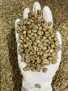 Granos de Café Verde Robusta Premium de Vietnam, Granos Enteros con un Sabor Intenso y Rico para Tostadores de Café - Product Image 4