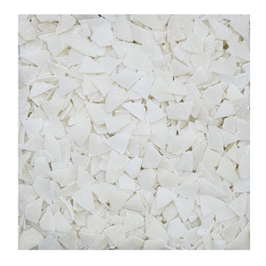 Fabricante vietnamita 99 Gold Data Coco seco para una producción conveniente de paquetes de aperitivos - Product Image 6