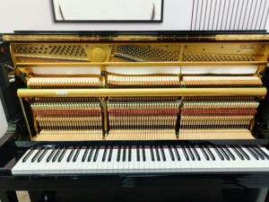 เปียโนตั้งพื้น Kawai BS2A ผลิตในญี่ปุ่น สำหรับการแสดงระดับมืออาชีพ จัดส่งทั่วโลกได้  แผ่นเสียงไม้แท้ DS60 - Product Image 6