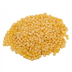 Excellent Quality Organic Pearl <b>Millet</b> High Fiber Gluten Free Grain 1000g for Healthy Cooking & Porridge - Product Image 2