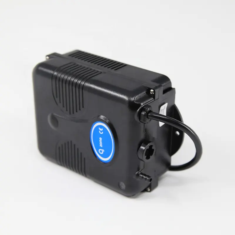 TCB-109 100-200mg Ozone generator for spa bathtub