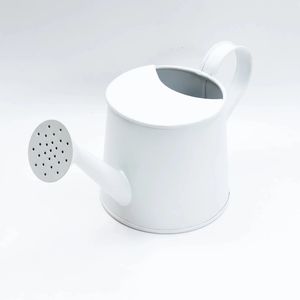 Regadera con encanto de terraza Úsela para regar plantas en su balcón o terraza, jardín, agregando una lata de agua de atractivo rústico - Product Image 3