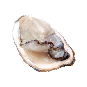Grosse huître de sashimi demi-coquille fraîche surgelée à l'huile de sésame - Product Image 3