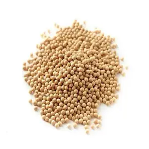 Wholesale organic soyabeans soya beans soyabeans available directly from India all grade organic soyabeans