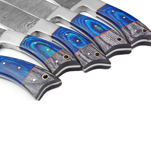 ชุดมีดเชฟเหล็กดามัสกัสแท้67ชั้นโครงสร้างมีความทนทานสูงด้ามจับไม้ดีไซน์พิเศษ-ผู้เชี่ยวชาญด้านการตัดเรียบ - Product Image 4