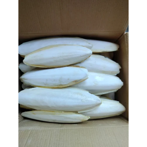 HOT DEAL CUTTLEBONE SUPPLY IN BULK EXPORT WITH BEST PRICES - Product Image 6