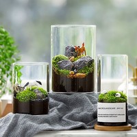 Vases en verre pour terrarium en gros, plantes succulentes, plantes aériennes, fougères, mousse, micro-paysage, vase pour la décoration de la maison, du jardin et de la table