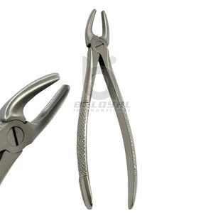 Fórceps de extracción Dental de alta calidad, extracción de dientes anteriores, fórceps de extracción Dental Anterior profesional de acero inoxidable - Product Image 2