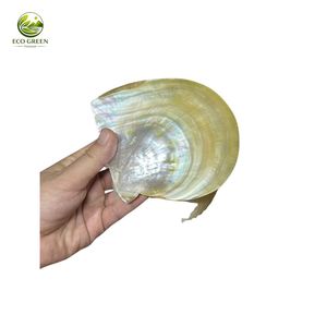 Assiette décorative ovale en nacre naturelle polie, plat en coquillage naturel, design rustique, écologique, plateau de service pour mariage - Product Image 6