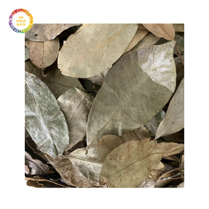 Feuilles de corossol séchées économiques - Qualité garantie - Product Image 4