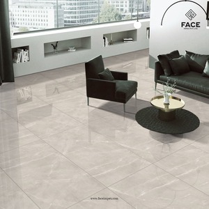 Meilleur prix Ford Bianco Carreaux de porcelaine Excellente qualité pour l'extérieur sophistiqué Intérieur pour sol mur Utilisation Halls Intérieurs - Product Image 1