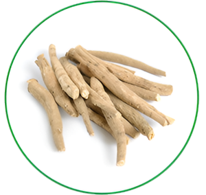 Polvo de extracto de raíz de Ashwagandha a granel y concentrado líquido para aplicaciones industriales al mejor precio - Product Image 4