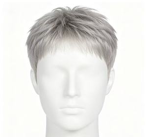 Perruque courte et droite argentée pour homme, en cheveux humains véritables, base en soie, fabriquée à la machine, pour un usage quotidien - Product Image 1
