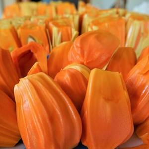 ขนุนแดง IQF พร้อมรับประทาน เมล็ดแดงหวาน ซันไรส์ฟรุต สำหรับของหวาน สมูทตี้ ไอศกรีม และการแปรรูปอาหาร - Product Image 3