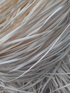 Proveedor principal de materiales de ratán blanqueados/Núcleo de ratán natural no químico/Núcleo de ratán redondo natural hecho en Vietnam - Product Image 5