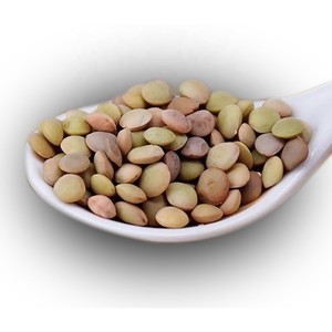 Proveedor al por mayor de lentejas verdes frescas orgánicas a granel de Austria para uso alimentario similar a las Lentejas rojas y Chana Dal - Product Image 4