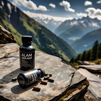 ALAM MINERALS - 60 Cápsulas de Shilajit del Himalaya en Polvo, 100% Puro y Natural, Ácido Fúlvico, Vida Útil de 5 Años