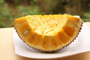 ผู้จัดจำหน่ายใหญ่ ขนุนแช่แข็งธรรมชาติ ขายดีที่สุด จัดส่งรวดเร็ว - Product Image 3