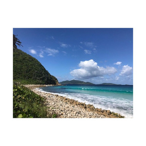 Beech Long ofrece venta a granel de troncos de madera de alta calidad para todo tipo de proyectos de madera - Product Image 5