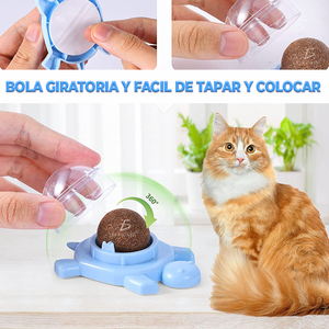 Jouet rotatif moderne en plastique et corde avec balles de catnip, design tortue, pour chats et chiens, style animation classique - Product Image 5