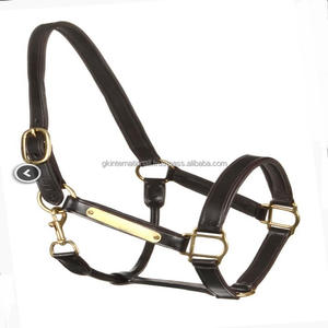 Licou de cheval en cuir souple rembourré entièrement réglable noir ou marron de haute qualité dans toutes les tailles personnalisées avec plaque nominative et matériel en laiton - Product Image 3