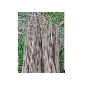 PALO DE ESCOBA DE COCO SUPERIOR MARRÓN Y COLOR NATURAL EXPORTACIÓN DE ALTA CALIDAD ORIGEN DE VIETNAM - Product Image 2