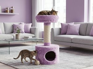 Fiona Lilac Bliss <b>Plush</b> <b>Cat</b> House Retreat - Product Image 4