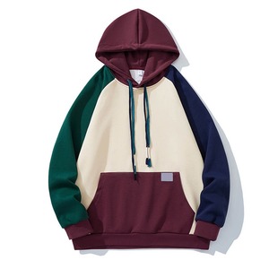 Logo personnalisé 500 g/m² 100% coton sweat à capuche pour homme brodé en éponge française pull Streetwear uni en éponge française vierge - Product Image 1
