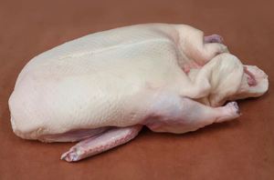 Carcasse d'oie halal de qualité supérieure, traitée selon les normes pour les services de restauration et les acheteurs en gros - Product Image 2