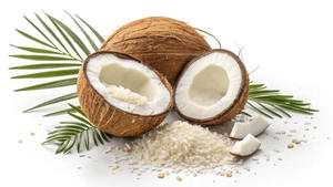 Poudre de noix de coco déshydratée en vrac, qualité supérieure, directement de l'usine - Product Image 4