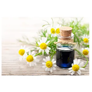 100% puro olio di camomilla blu olio tedesco aromaterapia olio profumato alla camomilla al prezzo più basso
