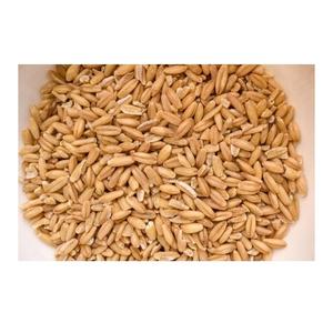 Grains d'avoine biologique de haute qualité disponibles à la vente à bas prix - Product Image 6