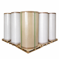 Rollo Jumbo de Papel Térmico de Alto Contraste, Libre de BPA, de 45gsm, 55gsm, 70gsm, para Exportación, Estándar, de Alta Resistencia y Empaquetado
