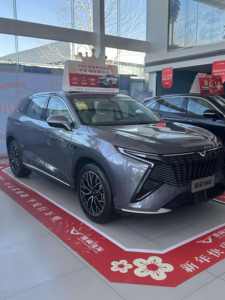 Auto Usado en Venta, SUV de Lujo de 7 Asientos, 1.6T, Gasolina, Año 2025, Exportación de Autos - Product Image 5