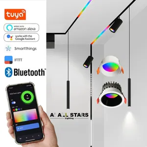 Offre Spéciale RGBW intelligent linéaire magnétique piste éclairage contrôle de la musique gradation colorée lumière encastrée downlight spots