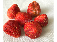 Gefreeze-droogde aardbeien, zoet, hoogwaardig fruit, gemaakt in Vietnam, veganistisch, beste prijs, geen conserveermiddelen, niet-GMO, bulkverpakking