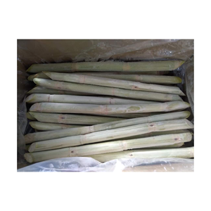 El jugo de caña de azúcar congelado IQF mejor vendedor de Vietnam precio barato y alta calidad - Product Image 5