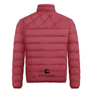 Moda casual elegante chaqueta puffer moda con capucha cálido personalizado para hombre ligero OEM ODM moda Premium 2025 de alta calidad - Product Image 2