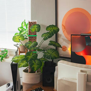 Poteau de mousse modulaire en forme de D, recouvert de plastique, 48 pouces, extensible à clipser, pour serre, support de plante simple - Product Image 3