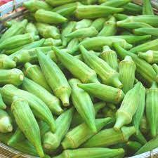 150 pezzi semi di tipo lungo Hobby balcone Okra Adana semi di gombo nativi regalo a sorpresa - Product Image 3
