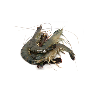 Camarones Tigre Congelados Enteros a Precio de Fábrica, Empaque a Granel para Venta al por Mayor y Grandes Pedidos - Product Image 1