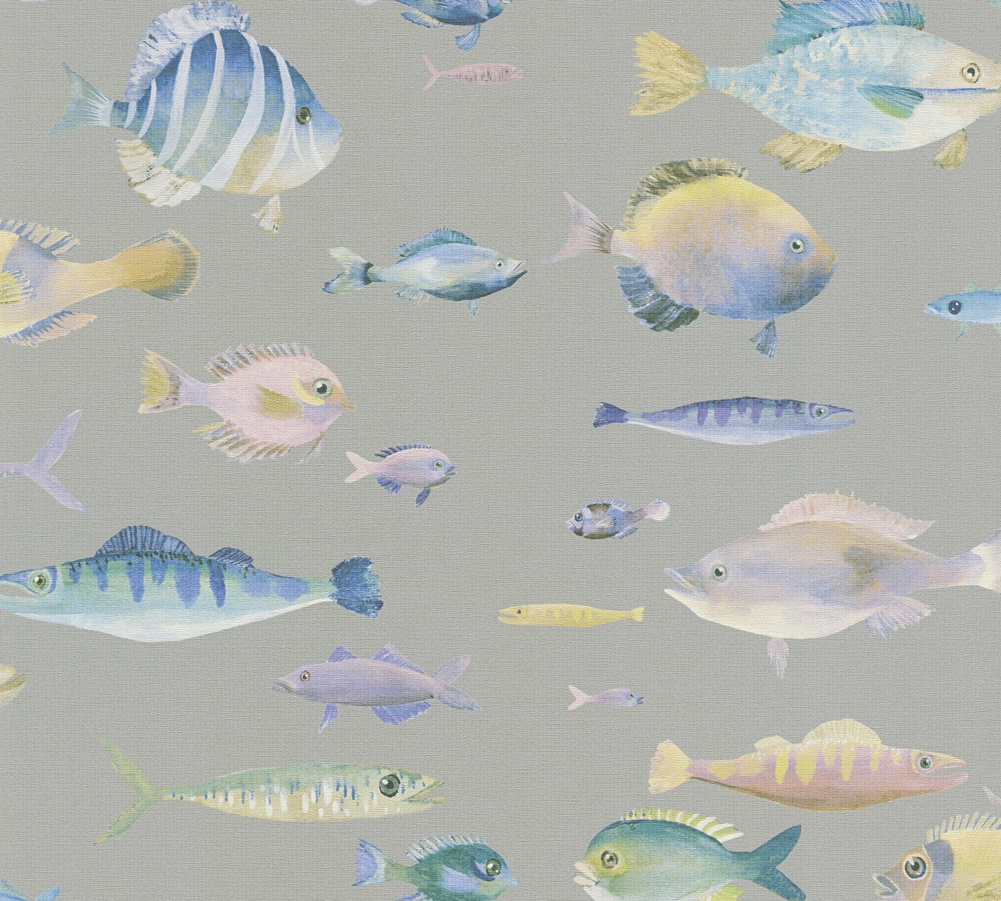 grey coloured blue yellow