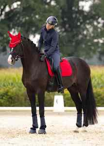 Almohadillas de Silla de Montar Acolchadas de Algodón de Alta Calidad para Mujer, Cómodas y Transpirables, Suministro al por Mayor - Product Image 5