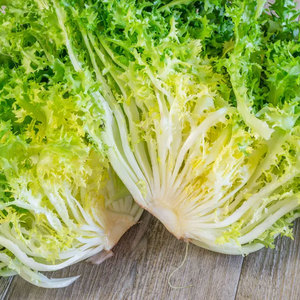 Chicorée d'endives de qualité supérieure: les espèces de légumes à feuilles amères les plus vendues pour la vente en gros et en vrac - Product Image 5