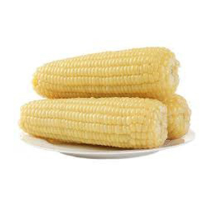 ราคาสวยงาม NON Gmo ข้าวโพดขาวขายส่ง ผู้ผลิตสูงใหม่ วัสดุที่ดีที่สุด ด้วยอัตราราคาถูก - Product Image 2